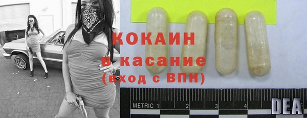 мяу мяу мука Аркадак