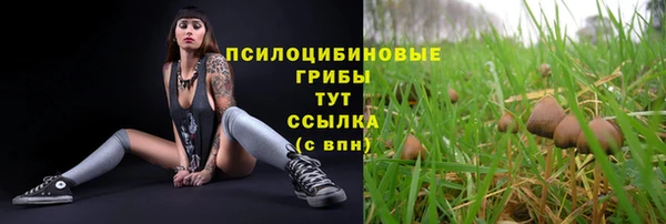 СК Армянск