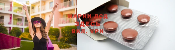 мяу мяу мука Аркадак