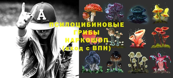 СК Армянск