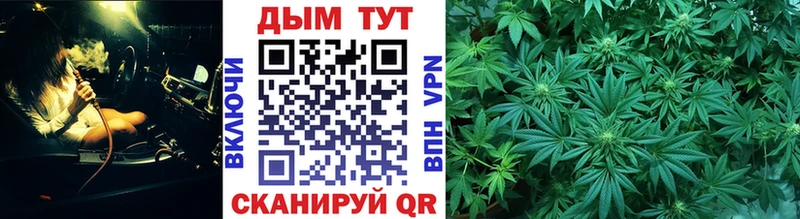 Бошки Шишки OG Kush  Пугачёв 